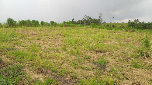 Imagem 7 de 7 de G 11 - Seu Lote De 500 Mts Na Cidade Do Monitoramento