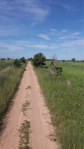 Imagem 4 de 10 de Fazenda Dupla Aptidão Município Buritizeiro