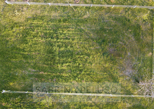 Lote Venta La Reja Moreno