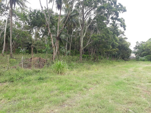 Imagem 4 de 8 de Terreno Em Camaçari - Te00323 - 34954988