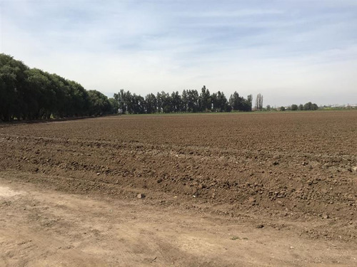 Terreno Agrícola Agroindustria - Lampa