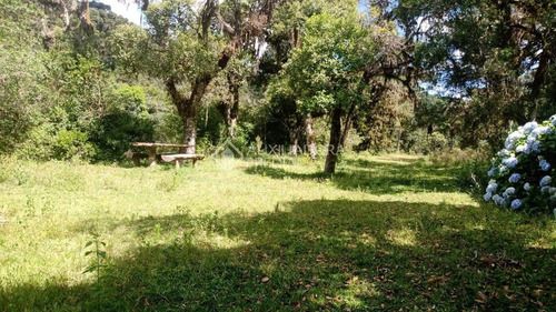 Imagem 13 de 15 de Terreno - Barragem Do Salto - Ref: 359235 - V-359235