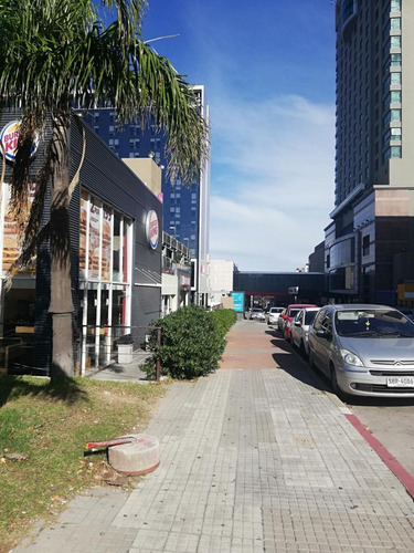 Alquiler Local Comercial En Punta Carretas