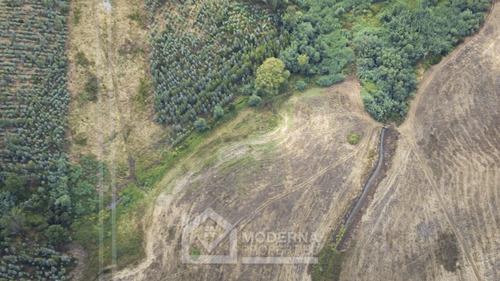 Predio De 70 Has Mulchén Orilla De Carretera 5 Sur