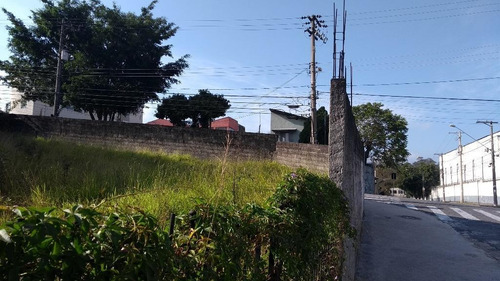 Imagem 4 de 4 de Terreno 500m² - Venda Ou Locação - Próximo Av. Pereira Barreto - Jd Do Pilar - Sto André - Te4058