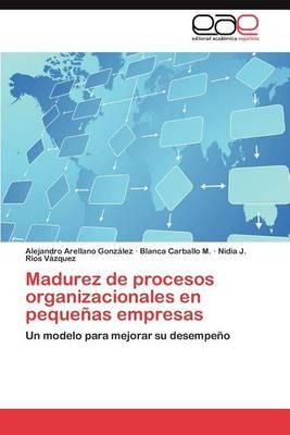 Libro Madurez De Procesos Organizacionales En Pequenas Em...