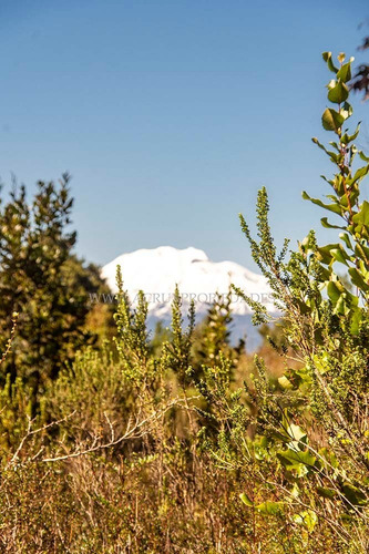 Parcela De 6mil M2 En Minte - Puerto Varas