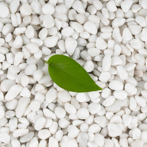 Calofulston 30 Lb Guijarros Blancos Para Plantas, Rocas Blan