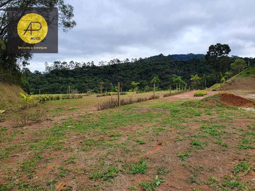 Imagem 19 de 30 de Terreno À Venda, 3557 M² Por R$ 480.000,00 - Jardim Ponte Grande - Mogi Das Cruzes/sp - Te0045