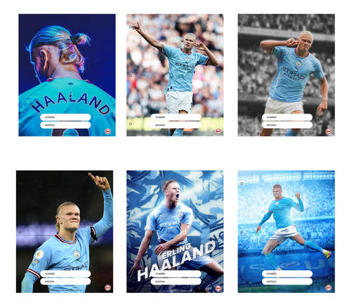 Separadores De Materias N°3 Haaland Manchester City