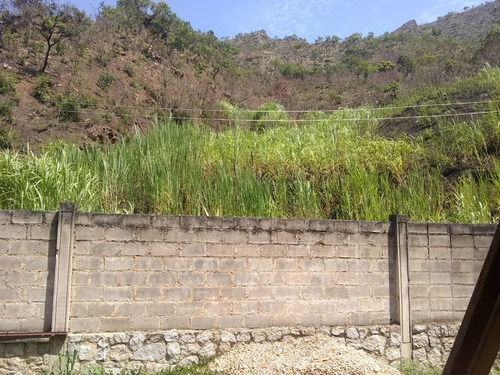 Imagen 12 de 14 de Terreno En El Castaño Palmarito 04128887550