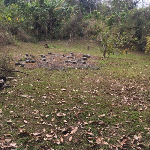 Imagen 21 de 30 de Parcela Con Bienhechurías En San Juan De Los Morros, Guárico
