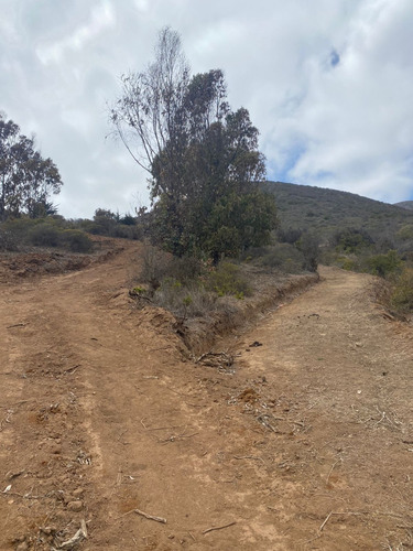 Imagen 6 de 14 de Sitio En Zapalllar En El Sector De El Cementerio