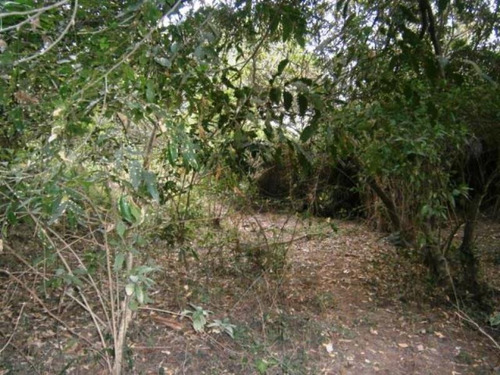 Imagen 3 de 23 de Venta Terreno Xochitepec Morelos Valle Dorado