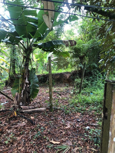 Imagem 4 de 12 de Terreno No Jardim Coronel Em Itanhaém, Com 465 M² De Área Total