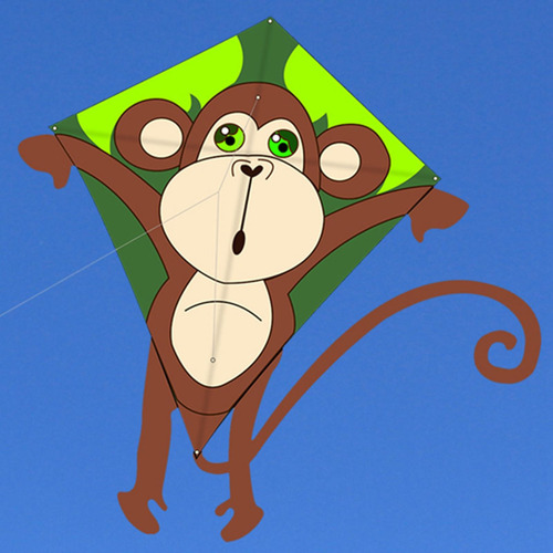 Kite Para Niños Y Adultos Increíbles Cometas De Pájaros