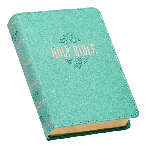 Imagen 2 de 10 de Biblia En Inglés King James Version Chica Letra Grande Aqua