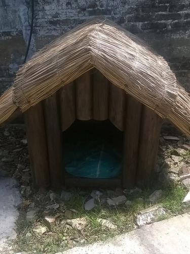 Quinchos De Paja Y Sombrillas