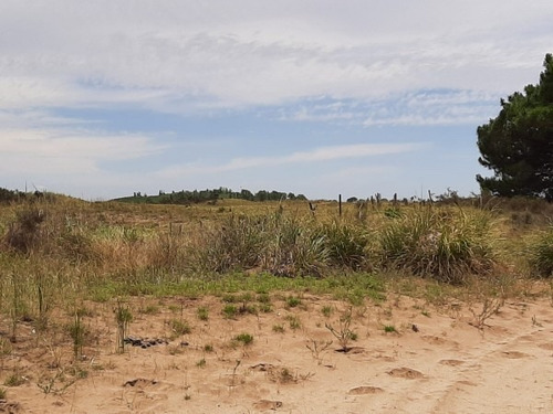Imagen 10 de 12 de Terrenos De 4,5 Hectareas Cerca Del Mar Zona Mar Azul