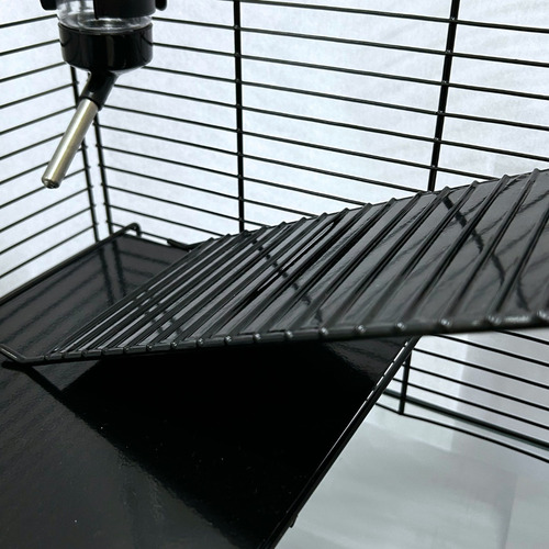 Gaiola De Roedores Com Acessórios Base De Vidro Mg-60 Maxxi