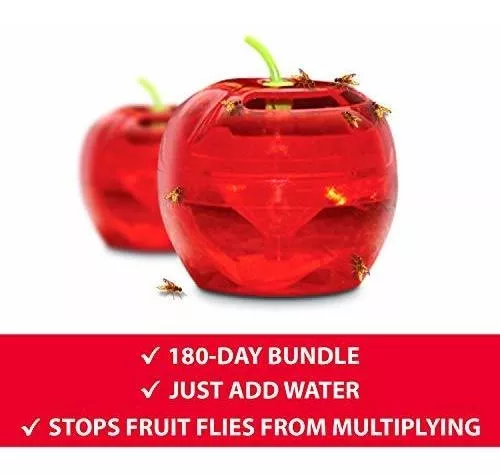  Raid Fruit Fly Trap Bundle, Set of 3 2-Pack Apple Fruit Fly  Catcher Indoor Trap, 360-Day Supply of Fruit Fly Traps for Kitchen & Dining  Areas, Reusable Gnat Traps w/Food-Based