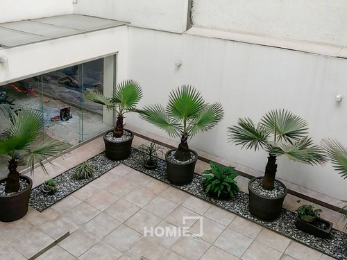 Imagen 11 de 12 de Departamento Amplio En Renta, Amueblado Algarín, 36971