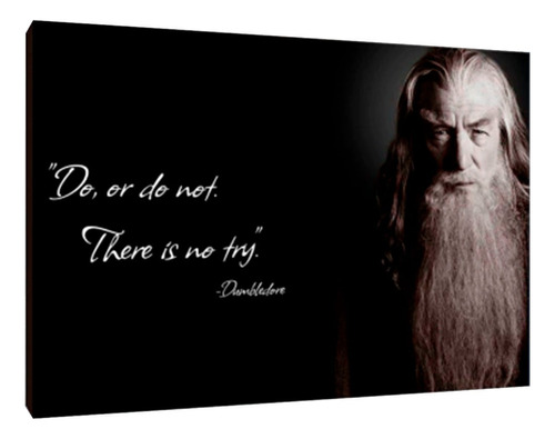 Cuadros Poster Harry Potter Dumbledore Xl 33x48 (mre (2))