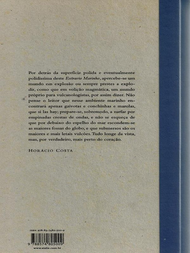 Extravio Marinho: Poesia (2004-2008), De Mello, Simone Homem De. Editora Ateliê Editorial, Capa Mole Em Português