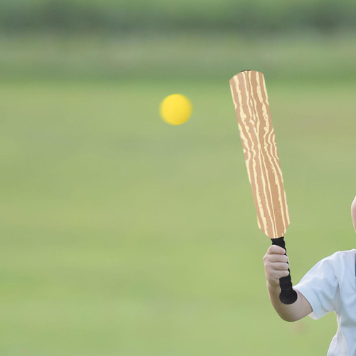 Crianças Bat E Bola Jogos De Críquete Criança Meninos E