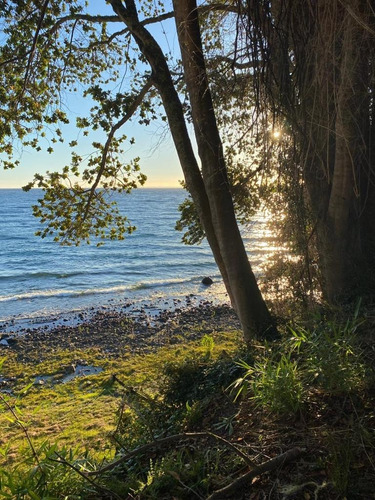 Excelente Parcela Con Orilla De Lago