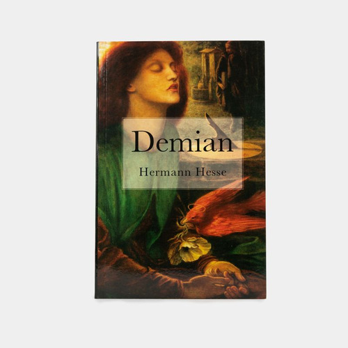 Libro Demian