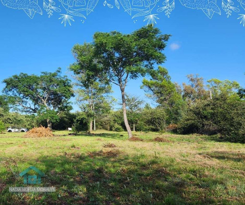 Dos Terrenos En Venta Los Reartes