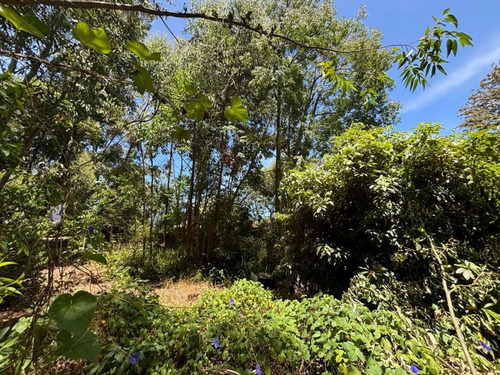 Casa 2 Dormitorios En Venta Las Toscas Sur 1250m2