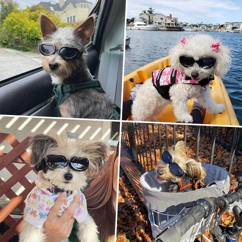 / Lentes De Protección Ocular Para Perros Pequeños