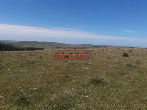 Imagen 15 de 16 de Campo En Carape - Departamento De Maldonado