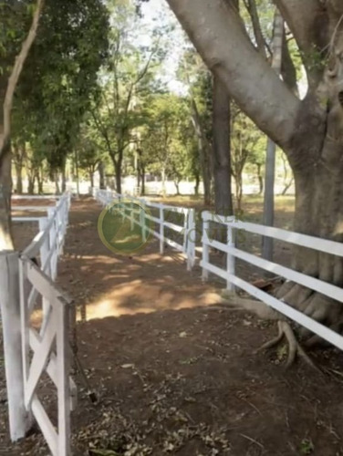Imagem 30 de 30 de Espetacular Haras Em Bauru Ótimo $$$ Aceita Permuta - Ch00153