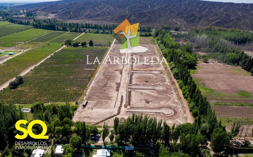 Imagen 6 de 6 de Lote Barrio Cerrado La Arboleda, Excelente Ubicacion A Punto De Ser Entregados Para Construccion