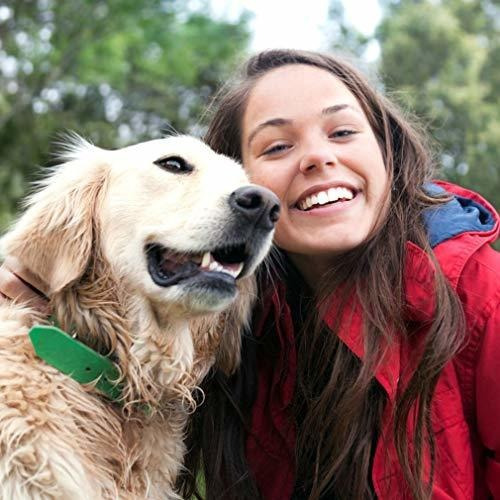 Imagen 2 de 7 de Púrpura 4 Ruedas Mascotas Viaje Cochecito Gato Perro Jaula