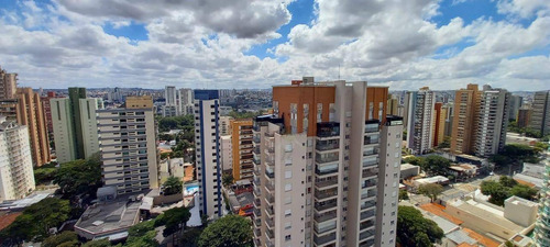 Imagem 1 de 24 de Cobertura 412 M² Bairro Jardim , Santo André S/p - Co0349