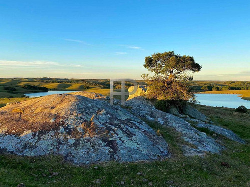 Imagen 2 de 13 de Campo En Venta Garzon 8 Has #1698