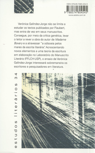 Fogos de Artifício: Flaubert e a Escritura, de Galíndez-Jorge, Verónica. Estudos Literários (34), vol. 34. Editorial Ateliê Editorial Ltda - EPP, capa mole em português, 2009