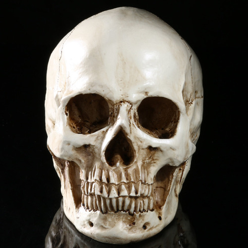 Lifesize 1: 1 Prop Model White Human Resin