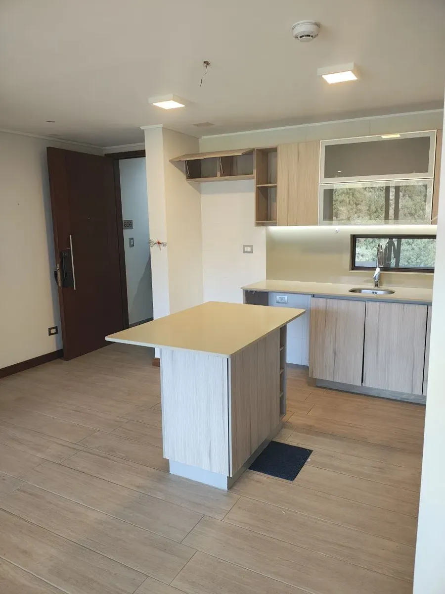 Imagen 5 de 19 de Departamento En Venta En Altos De Lonco