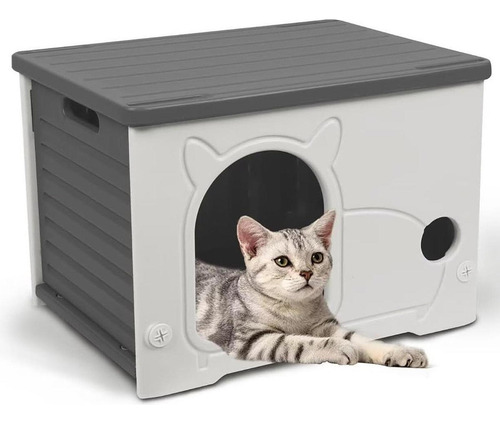 Cats De Gatos Callejeros Cats Feral Cause Suministros Gris