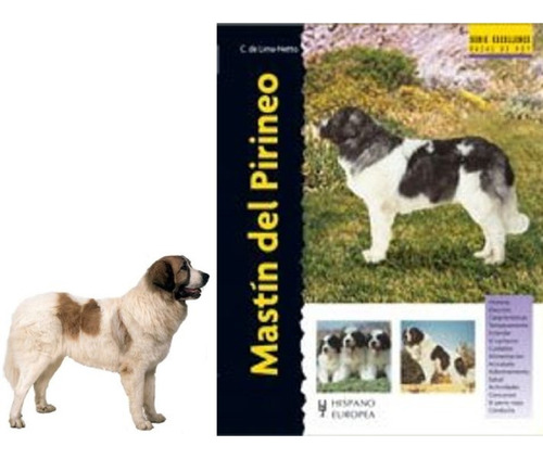 Libro Perros Razas Mastin Del Pirineo Excellence Guia