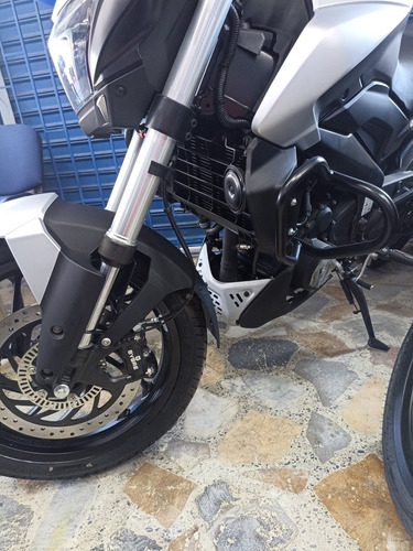 Imagen 10 de 15 de Dominar 250 Edicion Pro Touring Modelo 2023