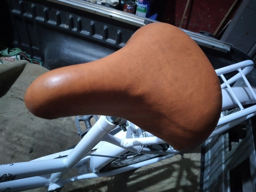 Bicicleta Dolphin Rodado 26