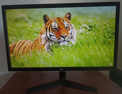 Monitor LG 24gl600f 24 Pulgadas 144hz Ips (Usado)