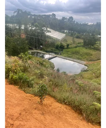 Lote En Venta Guarne Vereda Yolombal