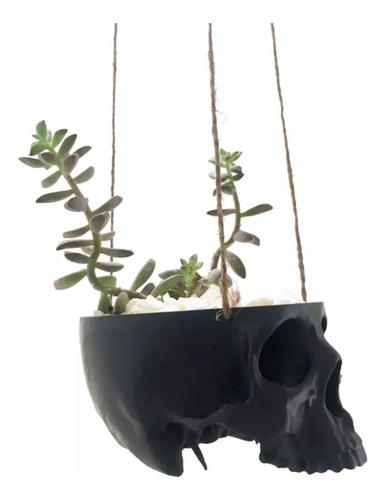 Maceta Minimalista Colgante Cráneo Calavera Suculenta/cactus